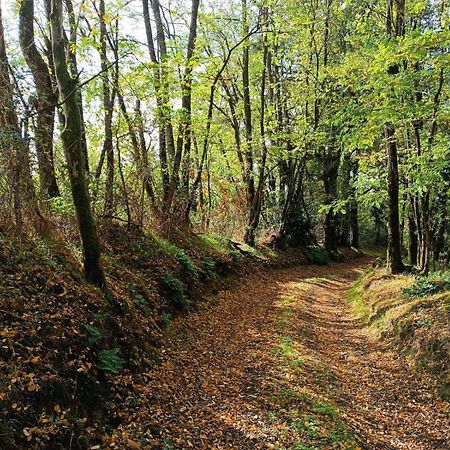 Cap Nature - T3 Et T4 En Perigord Vert - Ideal Pros Et Groupes Max 18P Champniers-et-Reilhac Exteriér fotografie