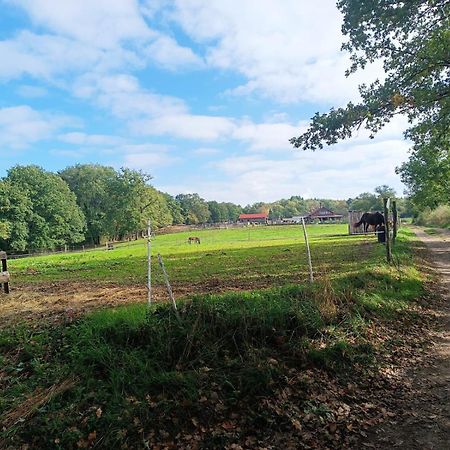 Cap Nature - T3 Et T4 En Perigord Vert - Ideal Pros Et Groupes Max 18P Champniers-et-Reilhac Exteriér fotografie