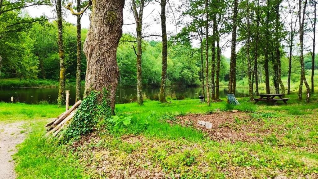 Cap Nature - T3 Et T4 En Perigord Vert - Ideal Pros Et Groupes Max 18P Champniers-et-Reilhac Exteriér fotografie