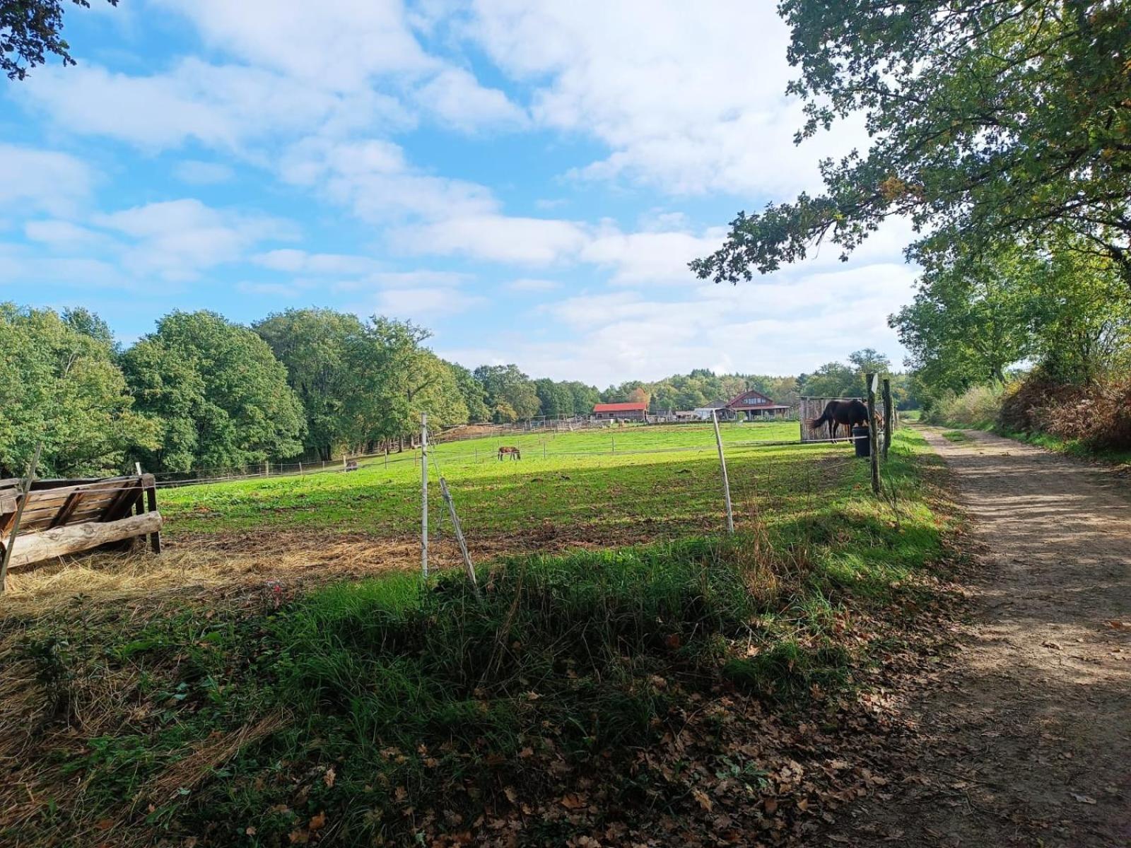 Cap Nature - T3 Et T4 En Perigord Vert - Ideal Pros Et Groupes Max 18P Champniers-et-Reilhac Exteriér fotografie
