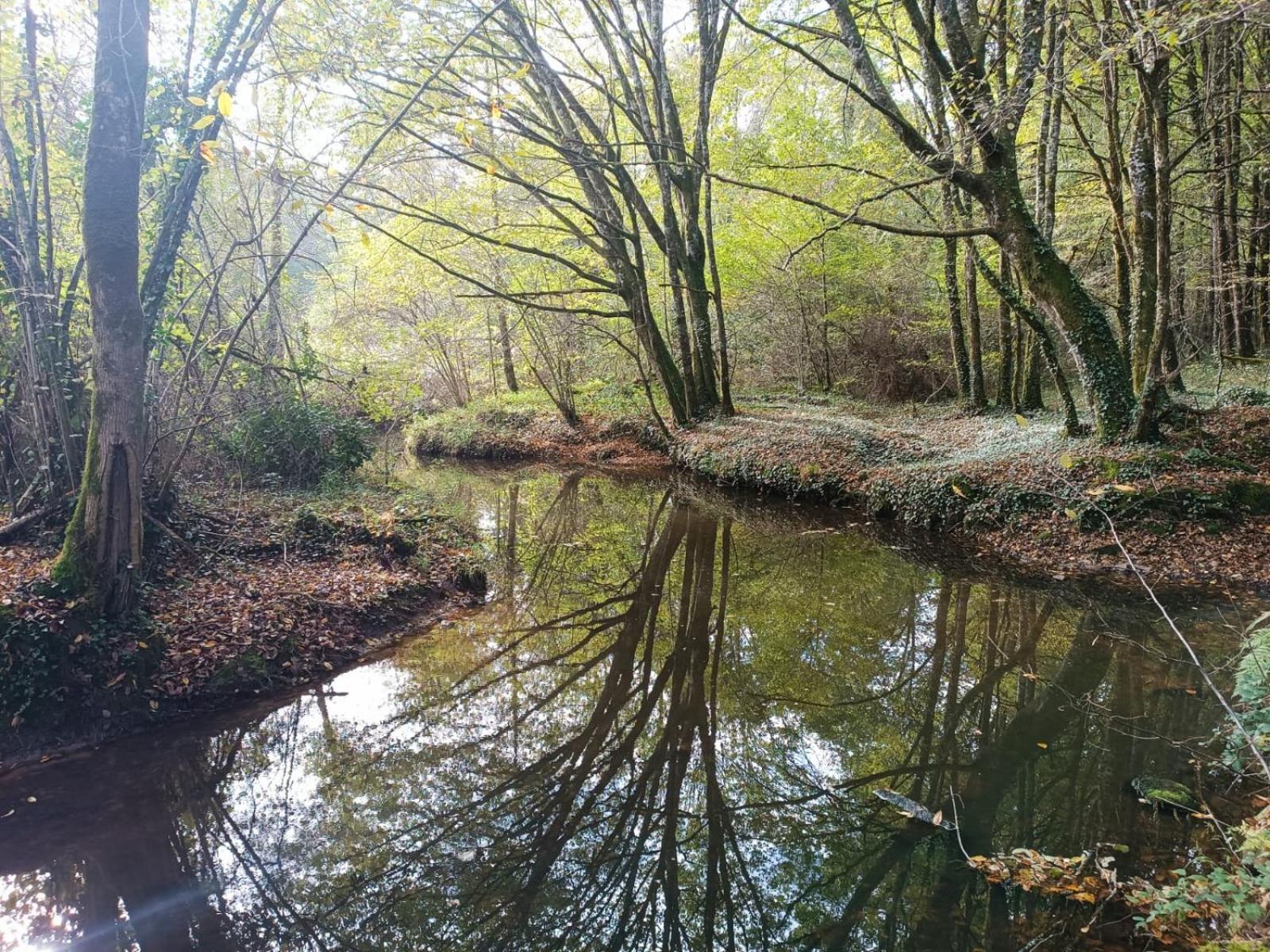 Cap Nature - T3 Et T4 En Perigord Vert - Ideal Pros Et Groupes Max 18P Champniers-et-Reilhac Exteriér fotografie
