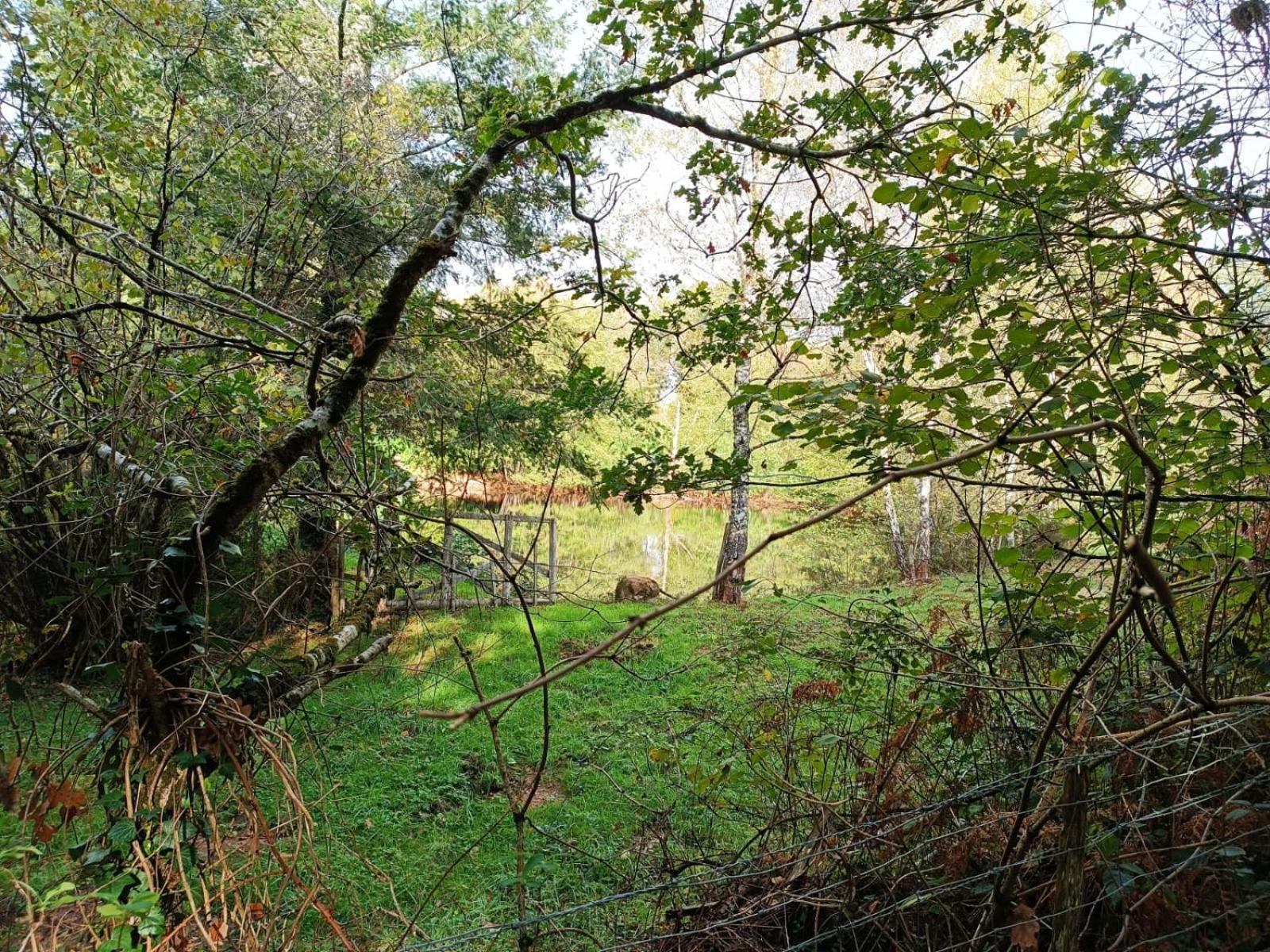 Cap Nature - T3 Et T4 En Perigord Vert - Ideal Pros Et Groupes Max 18P Champniers-et-Reilhac Exteriér fotografie
