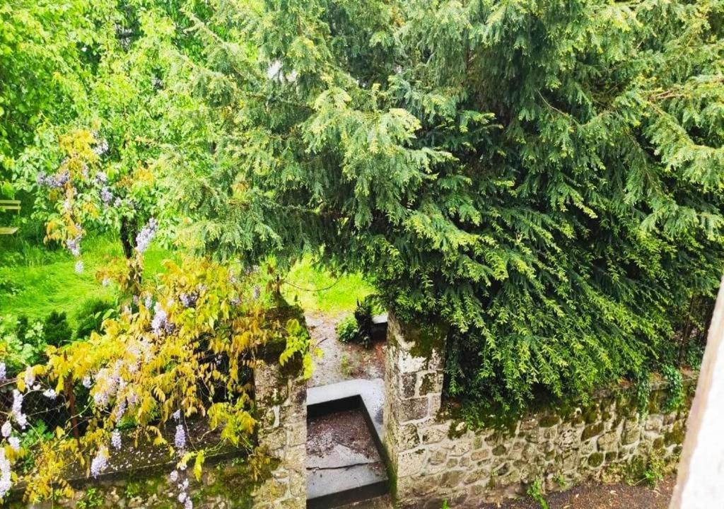 Cap Nature - T3 Et T4 En Perigord Vert - Ideal Pros Et Groupes Max 18P Champniers-et-Reilhac Exteriér fotografie