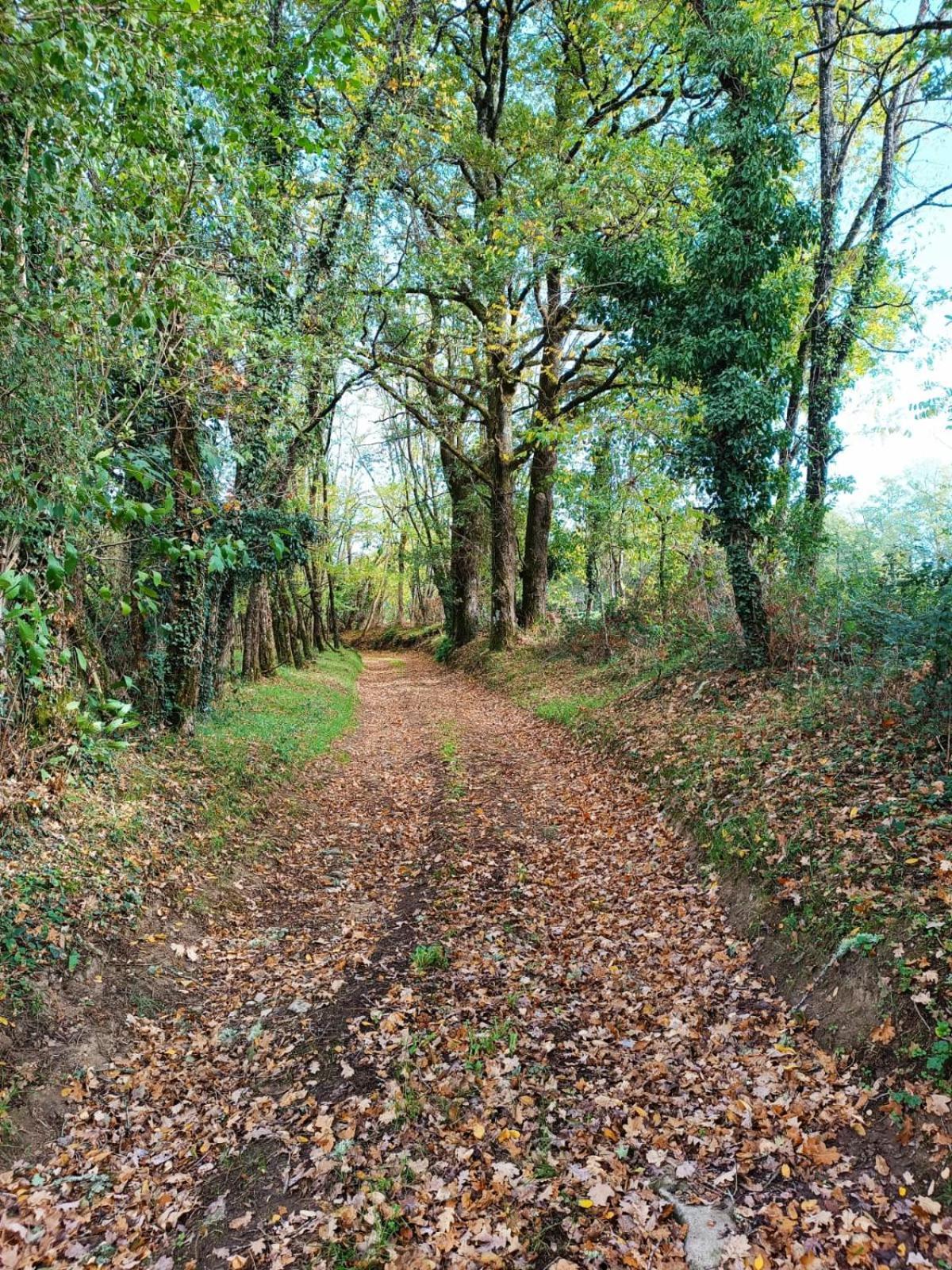 Cap Nature - T3 Et T4 En Perigord Vert - Ideal Pros Et Groupes Max 18P Champniers-et-Reilhac Exteriér fotografie